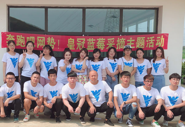 【奔跑吧網(wǎng)勢(shì)！】藍(lán)莓采摘主題團(tuán)建活動(dòng)